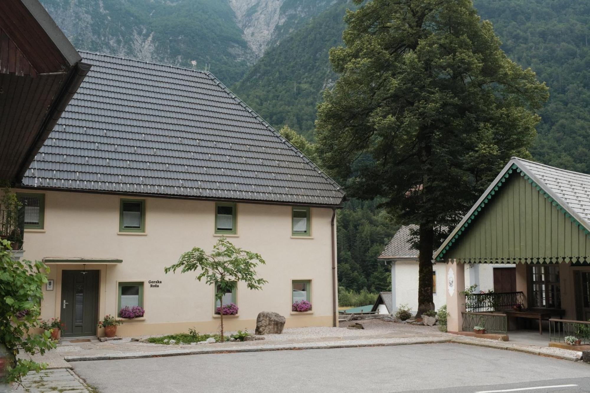 ログ・ポット・マンガルトン Gorska Roza Bed & Breakfast エクステリア 写真